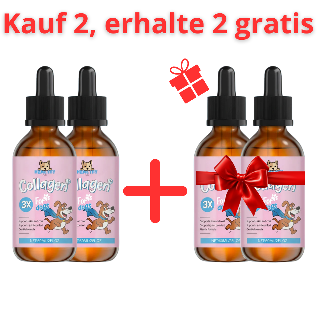 🎁 Kauf 2, erhalte 2 gratis-Paket OrthoPfote®