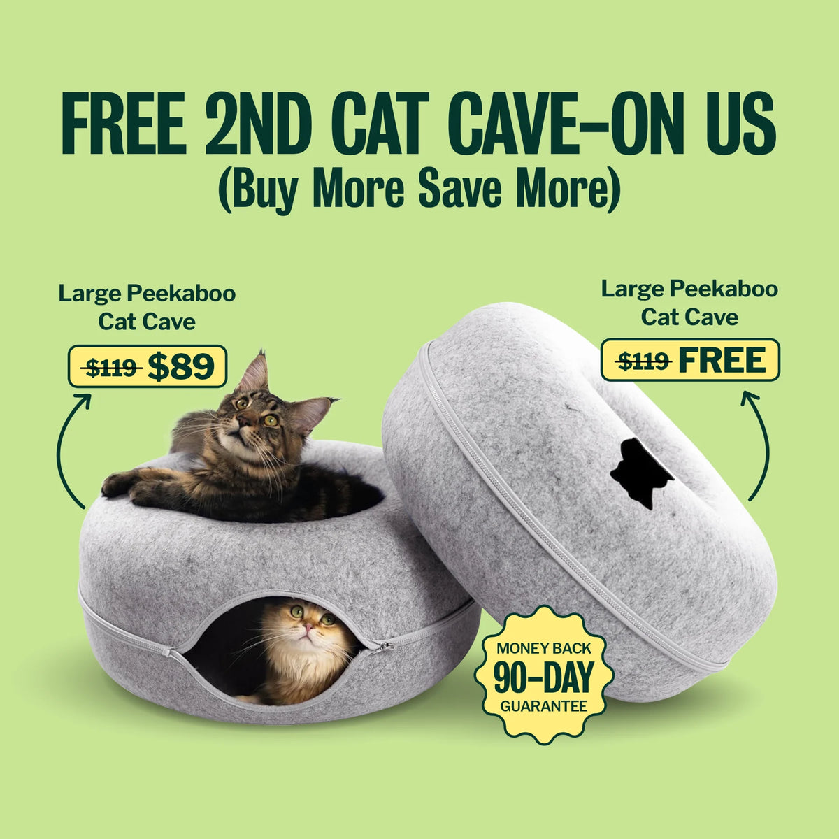 cattasaurus