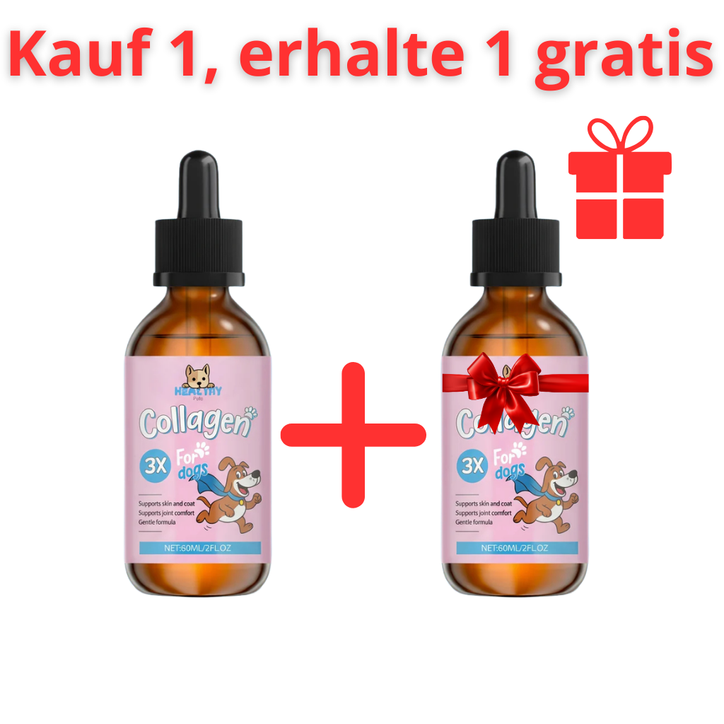 🎁 Kauf 1, erhalte 1 gratis-Paket OrthoPfote®