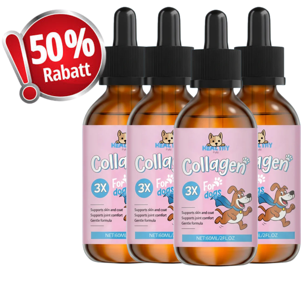 🎁 ZUSÄTZLICH 50% RABATT 4-OrthoPfote®