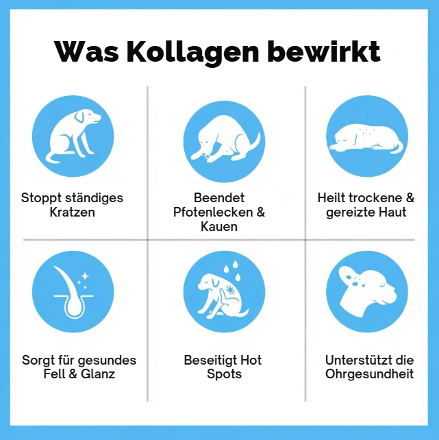 OrthoPfote® Premium Flüssigkollagen