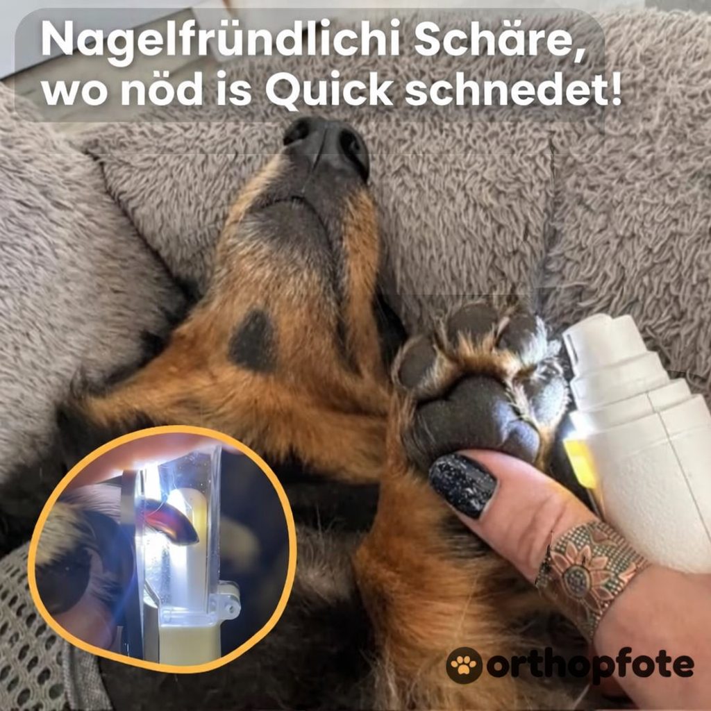LichtSchere™ Pro