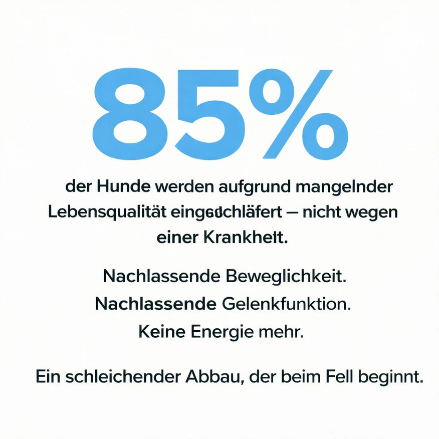 OrthoPfote® Premium Flüssigkollagen.