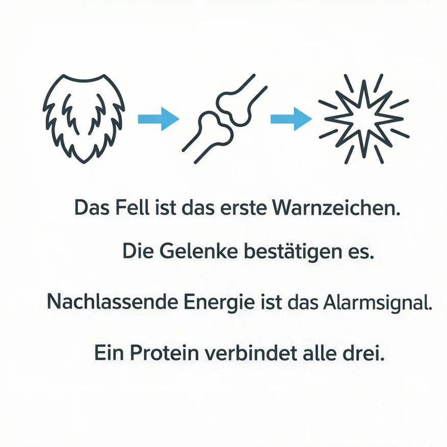 OrthoPfote® Premium Flüssigkollagen.
