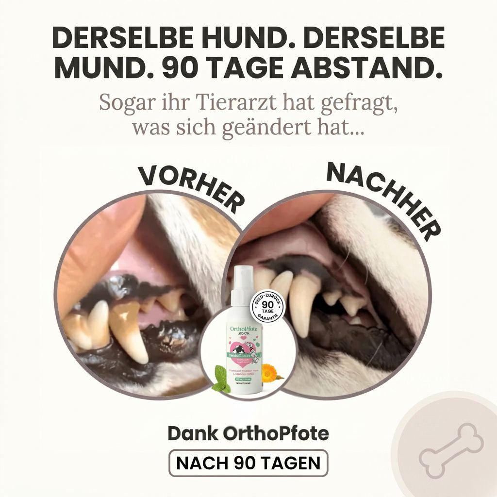 OrthoPfote DentaClean®