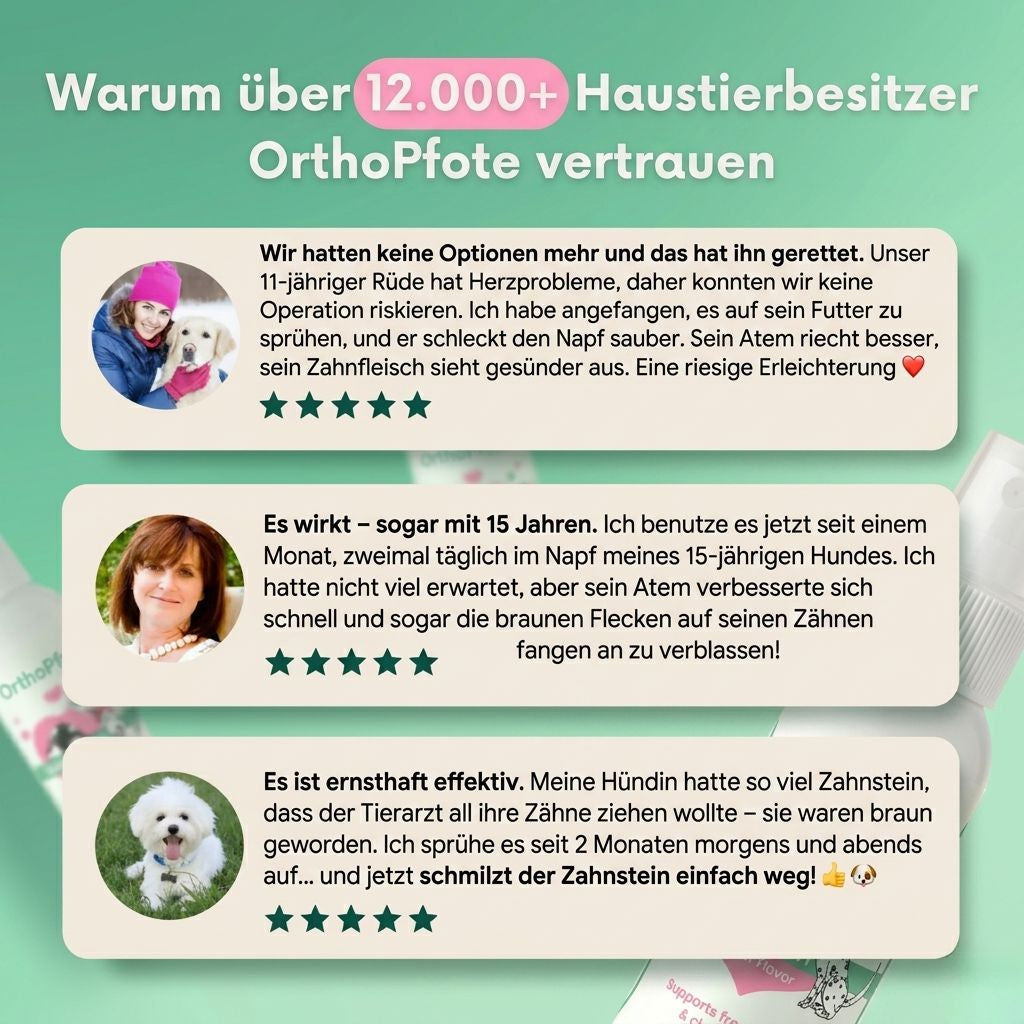 OrthoPfote DentaClean®