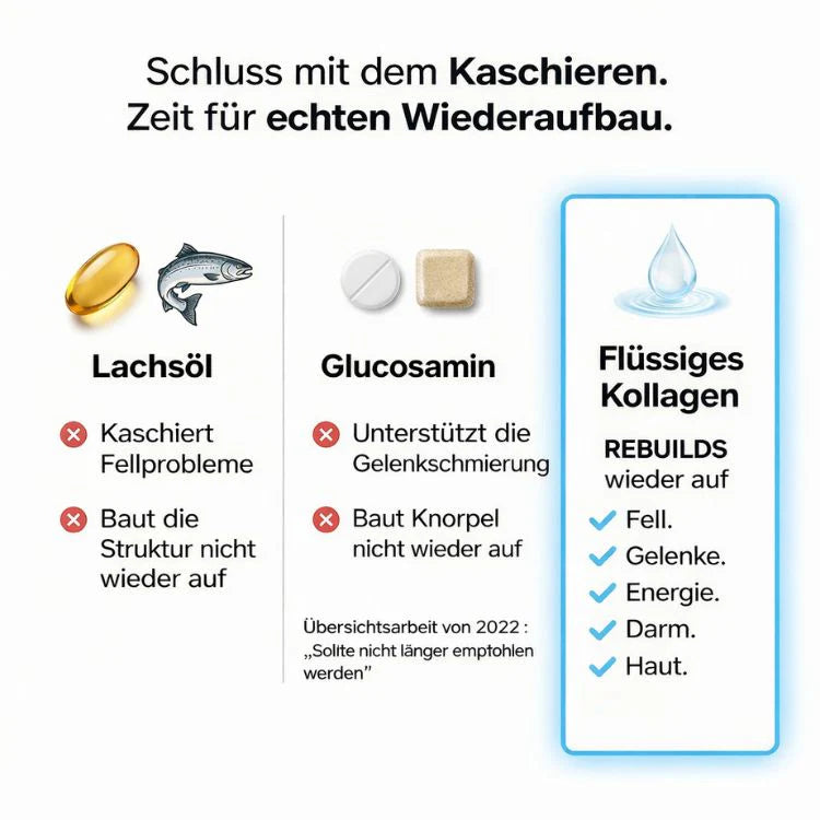 OrthoPfote® Premium Flüssigkollagen.