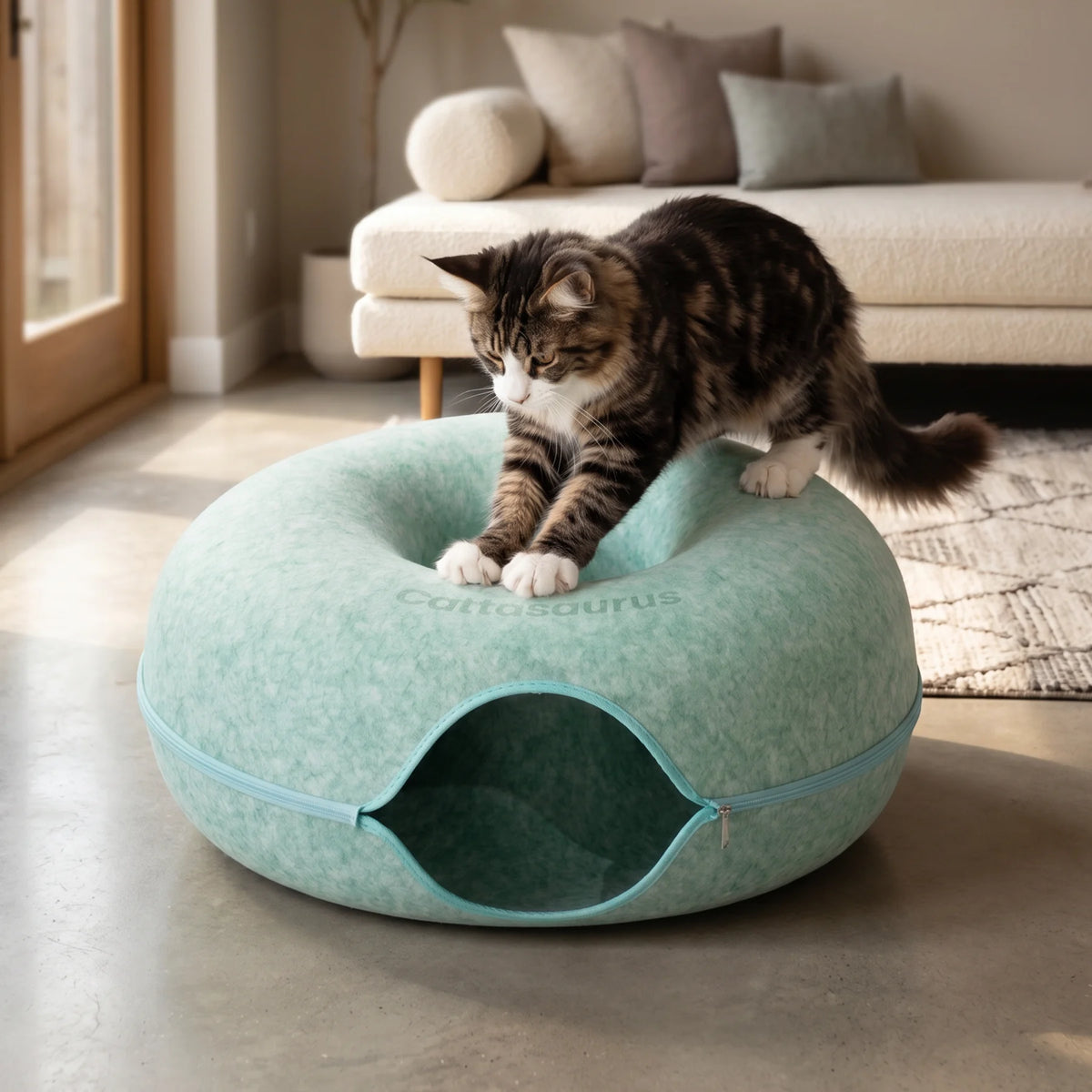 cattasaurus
